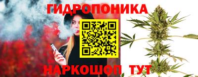 дживик Будённовск