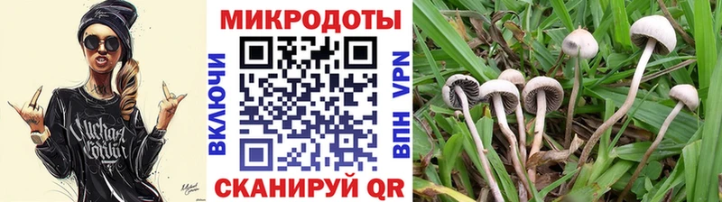 Галлюциногенные грибы прущие грибы  Бахчисарай 
