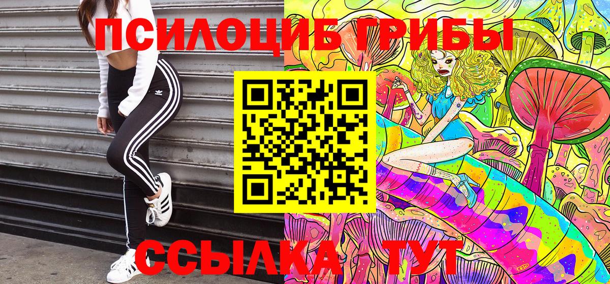Галлюциногенные грибы Cubensis Бахчисарай