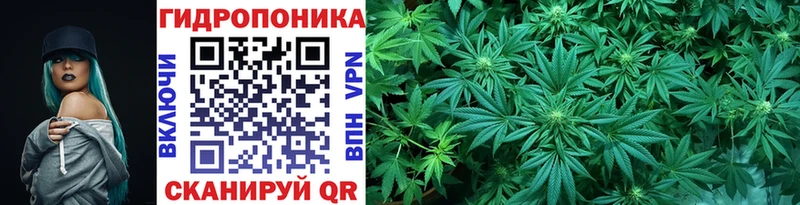 Конопля гибрид Бахчисарай